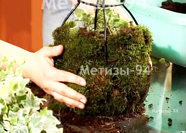 do-it-yourself garden sculpture topiary frame
