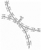 Wire twists of coils of fidget