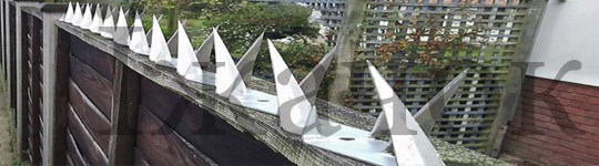 Overlay Zjachok on a fence - analog decorative barrier Spike