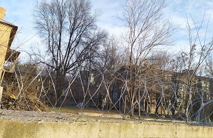 фото егоза казачка