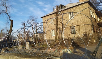 фото егоза казачка