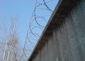 фото егоза казачка