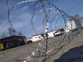 фото егоза казачка