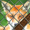 Wicker mesh Rabitsa 25x2.2