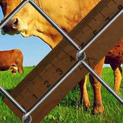 Grid Chain-link 45х45х2,5