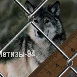 Сітка Рабиця 50х2,5