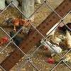 Grid Chain-link 50х2,5