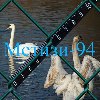 Mesh Chain-link with polymer coating 50x2.8 (1.8)
