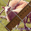 wicker mesh Rabitsa 50x1.6
