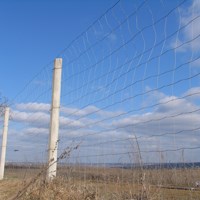 light mesh. DFL сітка полегшена Казачка
