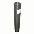 reinforced plaster layer