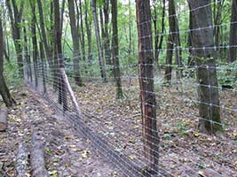 photo mesh Cossack reinforced