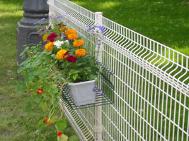 Betafence Wire Panel Fence