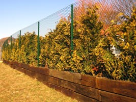 Chain link fence
