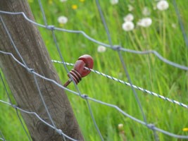 Electroshepherd on a fence made of hinged mesh (lightweight Cossack mesh)