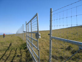 Reinforced mesh fence