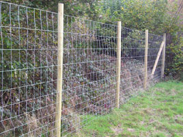 forest fence