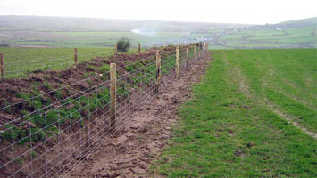 Hinged Mesh Fence