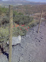 Hinged Mesh Fence