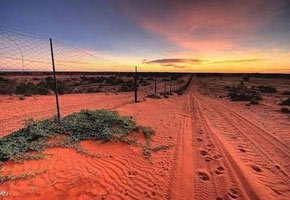 Dog fence in Australia, photo