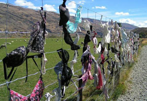 Underwear fence, photo of an unusual fence