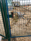 canilika mesh fence